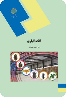 آفات انباری